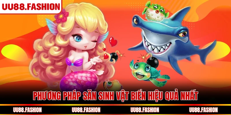 Phương pháp săn sinh vật biển hiệu quả nhất