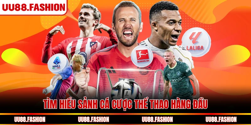 Tìm hiểu sảnh cá cược thể thao hàng đầu